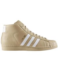 adidas pro model foot locker
