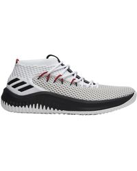 dame 4 camp