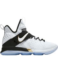 lebron 14 lmtd