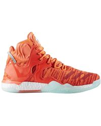 christmas d rose 7