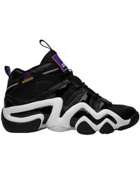 nike crazy 8