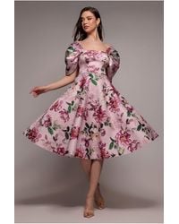 Goddiva - Off Shoulder Floral Bow Back A Line Midi Dress - Lyst
