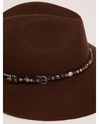 Golden Goose Coffee-brown Golden Collection Fedora Hat With Studded Leather Strap