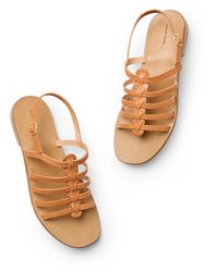 Adidas Climacool cammello Adidas Climacool cammello