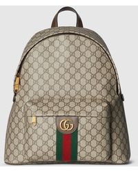 Gucci  display picture 3