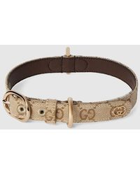 Gucci - Collare Per Animali Taglia S/ Taglia - Lyst