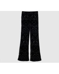 Gucci - Floral Devoré Velour Pants - Lyst