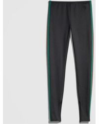 Gucci - Technical Jersey Leggings With Web - Lyst