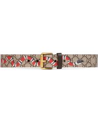 gg supreme belt with kingsnake print