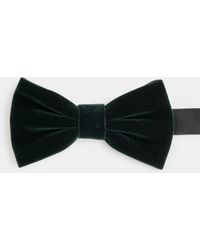 Gutteridge - Papillon - Lyst