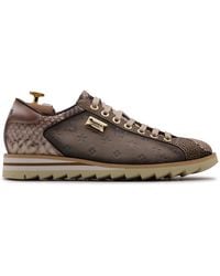 Harris Shoes 1913 - Suede And Python Sneakers - Lyst