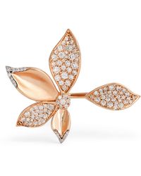 BeeGoddess - And Diamond Apple Seed Ring - Lyst