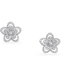 Graff - White Gold And Diamond Wild Flower Stud Earrings - Lyst