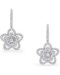 Graff - And Diamond Wild Flower Earrings - Lyst