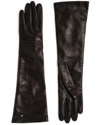 Max Mara - Leather Elbow-Length Gloves - Lyst