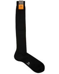 Doré Doré - Long Cotton Rib-Knit Socks - Lyst