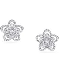 Graff - White Gold And Diamond Wild Flower Earrings - Lyst