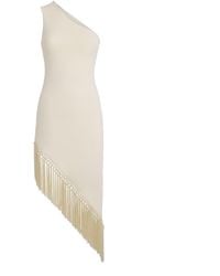 ‎Taller Marmo - Fringed Yacare Mini Dress - Lyst