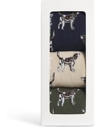Barbour - Pointer Dog Socks - Lyst
