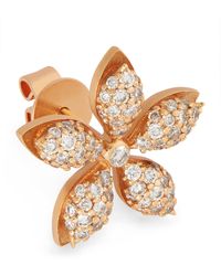 BeeGoddess - And Diamond Apple Seed Single Earring - Lyst