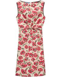 Prada - Cotton Poplin Poppies Mini Dress - Lyst