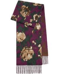 Burberry - Wool-Alpaca-Blend Rose Scarf - Lyst
