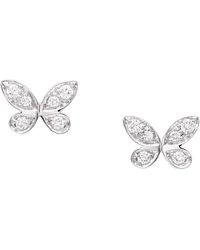 Graff - And Diamond Butterfly Stud Earrings - Lyst