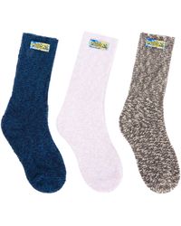 Loewe Knitted Socks (pack Of 3) - Multicolor