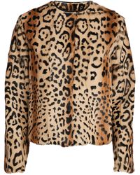 Max Mara Gabarra Leopard Fur Jacket - Brown