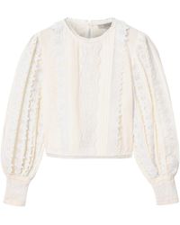 AllSaints - Cotton Hart Embroidered Top - Lyst