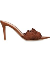 Gianvito Rossi - Lace Yvonne Mules 85 - Lyst