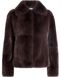 Yves Salomon - Mink Collared Jacket - Lyst