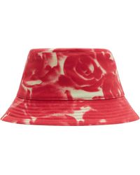 Burberry - Rose Print Bucket Hat - Lyst
