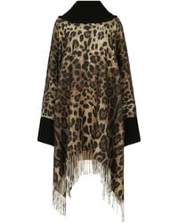 Dolce & Gabbana - Wool Leopard-print Sweater - Lyst