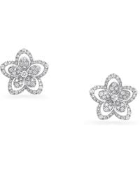 Graff - And Diamond Wild Flower Stud Earrings - Lyst
