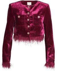 Cinq À Sept - Velvet Evelina Feather-Trimmed Jacket - Lyst