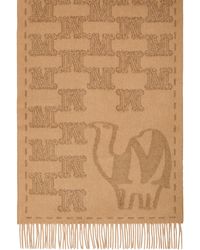 Max Mara - Cashmere Jacquard Scarf - Lyst