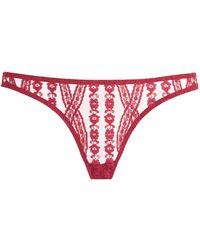 Coco De Mer - Lace Renata Brazilian Briefs - Lyst