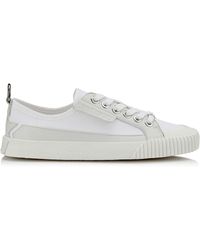 impala all star sneakers