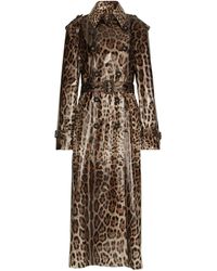Dolce & Gabbana - Leopard-Print Coated Sateen Trench Coat - Lyst
