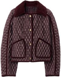Burberry - Long Sleeved Quilted Jacket - Lyst