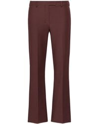 Max Mara - Cotton-Blend Flared Trousers - Lyst