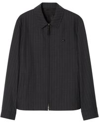 Burberry - Wool Pinstripe Bloomsbury Harrington Jacket - Lyst