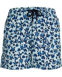 Vilebrequin - Leopard Print Moorea Swim Shorts - Lyst