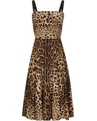 Dolce & Gabbana - Leopard-Print Cady Wrap Dress - Lyst