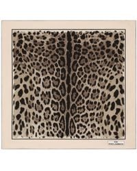 Dolce & Gabbana - Kim Dolce&Gabbana Leopard-Print Twill Scarf - Lyst