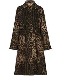 Dolce & Gabbana - Belted Leopard-Print Wool Coat - Lyst