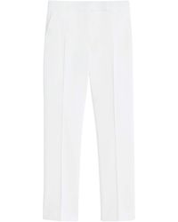 Max Mara - Stretch-Cotton Tailored Trousers - Lyst