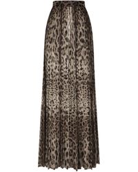 Dolce & Gabbana - Leopard-Print Chiffon Culottes - Lyst