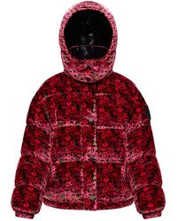 moncler cercis cropped velvet puffer coat